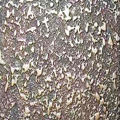 艺术漆加盟